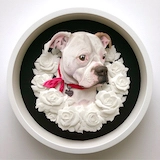 A paper-cut portrait of a white dog surrounded by a wreath of white paper roses and housed in a circular picture frame.