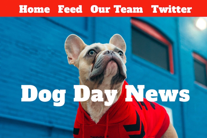 The home page of Dog Day News depicting a french bulldog puppy wearing a red hoodie outfit.